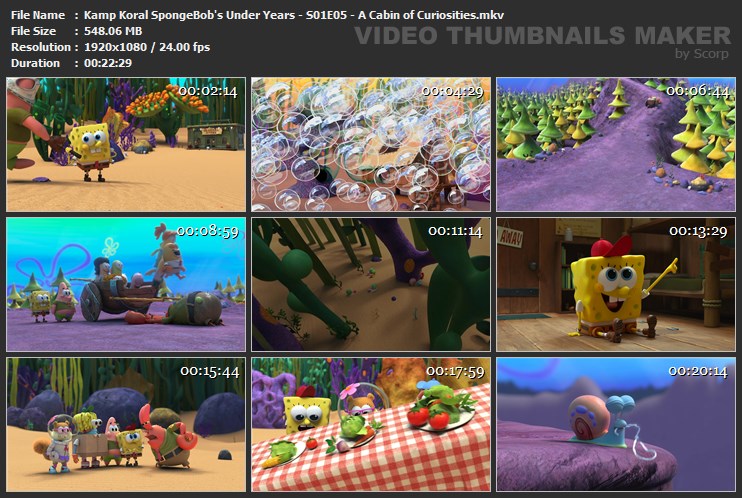 Kamp Koral SpongeBob's Under Years - S01E05 - A Cabin of Curiosities.mkv