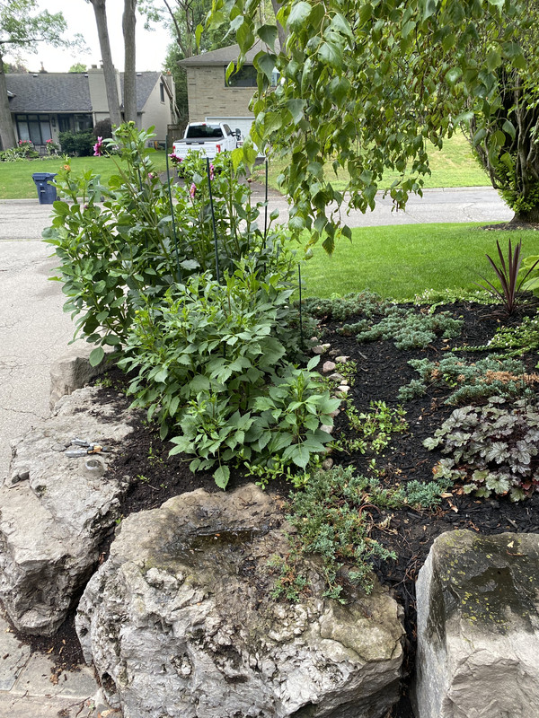 EB811A1A-9A73-4B3D-BCF1-0D86D5A4FF6A