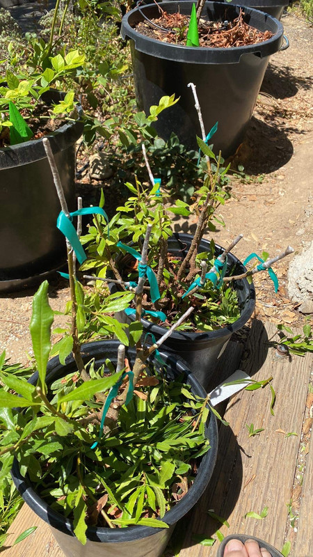 894D991A-5836-4D02-959B-DBF2A65C9BE9