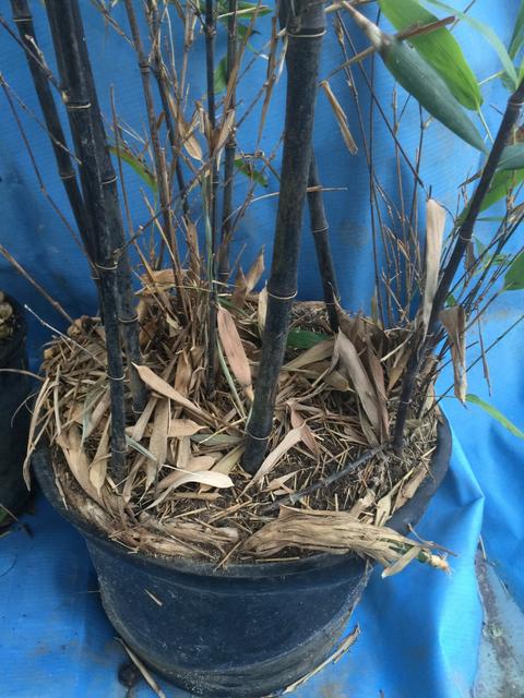 590B2D77-B002-44B2-AC0D-A718C0B7B7AA