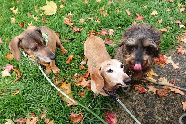 [Image: DSC-2025-10-30-3.jpg]