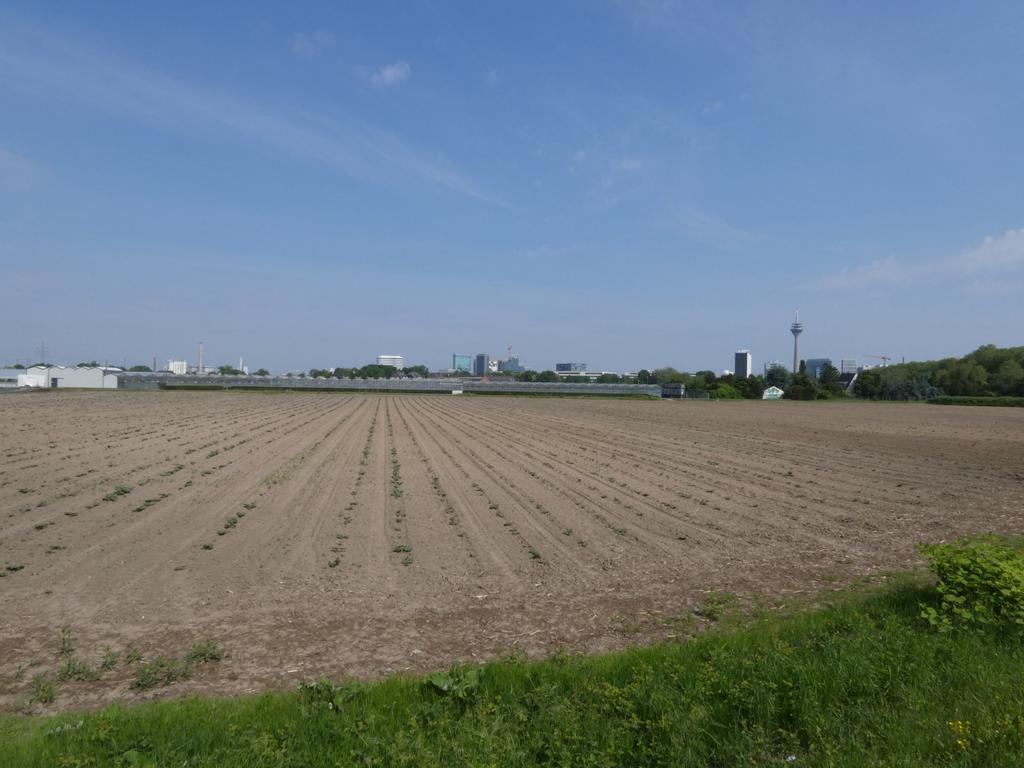 P1020006