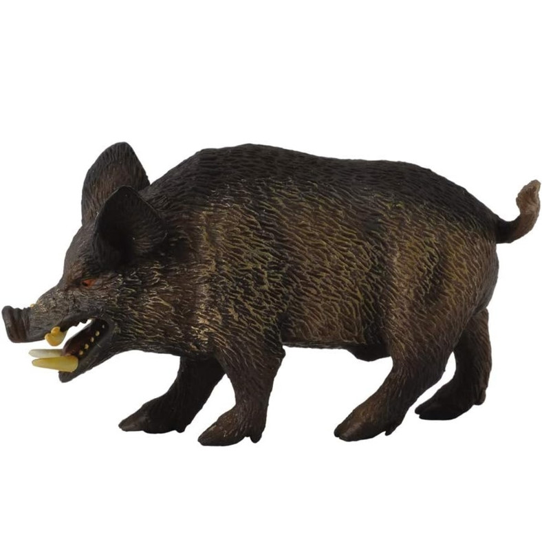 Screenshot_20231224_095612