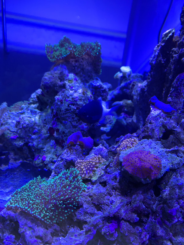 1CB9791F-5D51-4488-ABE9-A622027FDA6B