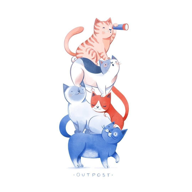 03