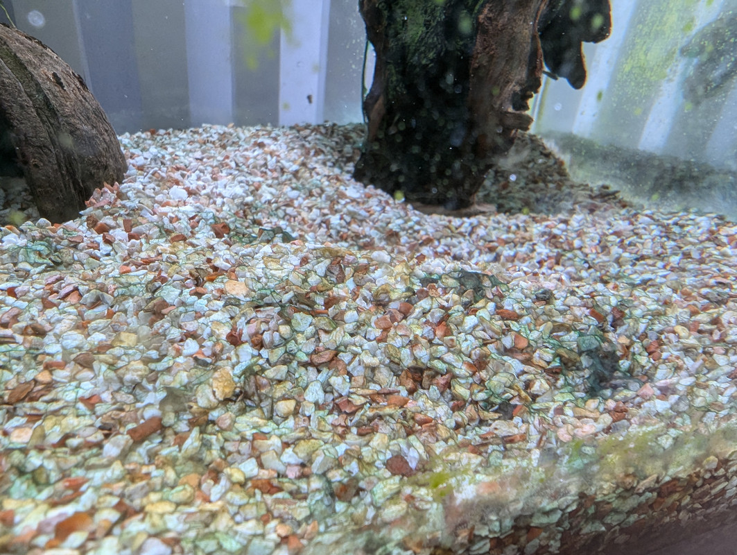 PXL_20240707_174828532