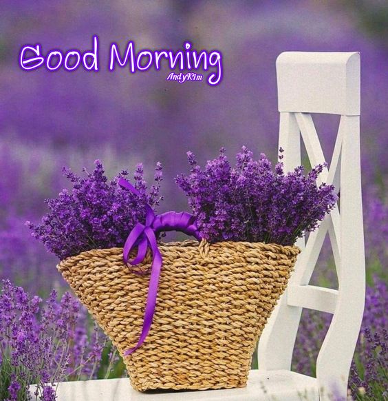 e5a484b7e0a06e09e435edd238dfbd2e