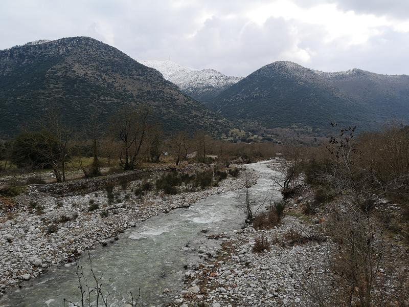 ΚΟΠΗ ΠΡΩΤΟΧΡΟΝΙΑΤΙΚΗΣ ΠΙΤΑΣ ΠΕΛΟΠΟΝΝΗΣΟΥ 2019 - Σελίδα 2 IMG-20190127-141730