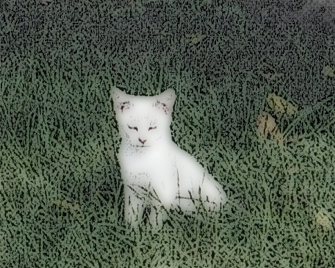 Baby Snowball(Edit)-002