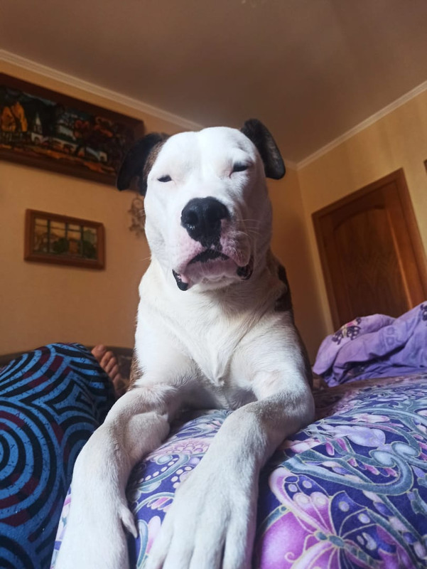 16A2A528-51C8-4364-A5A7-1726AB749334