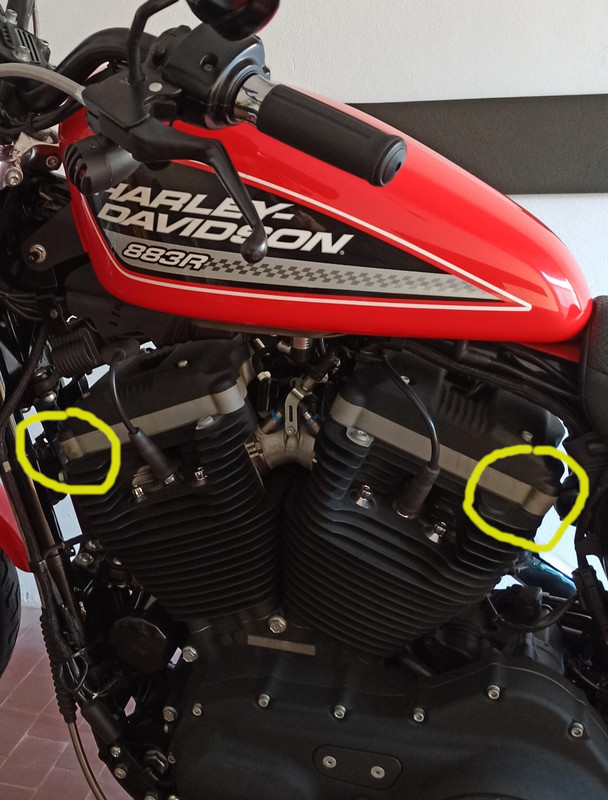 1619621765050_segnato (1)