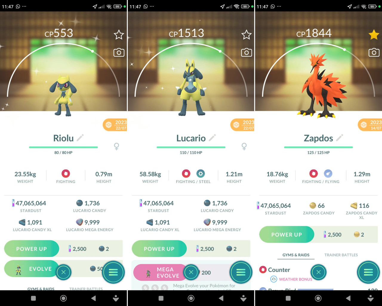 Polish 20260224 115611149