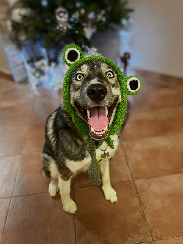 30BD3710-C4AA-42EE-B6EA-FE03AB225D0E