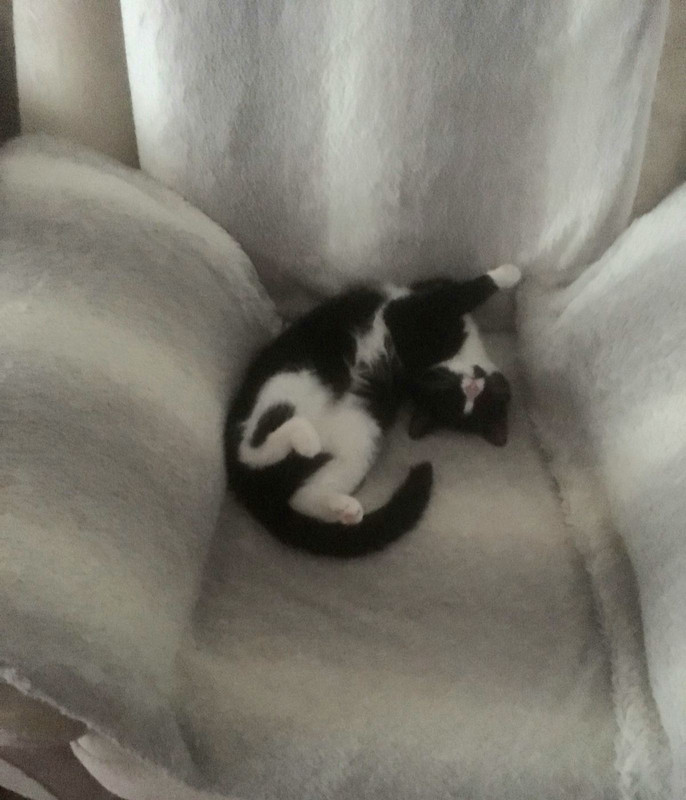 IMG-89a6f6ab37bf20441a32d291d0f381c9-V