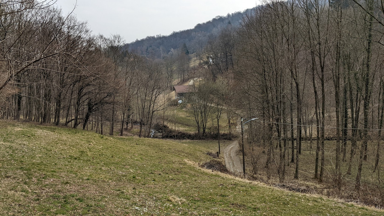 PXL_20220313_090937726