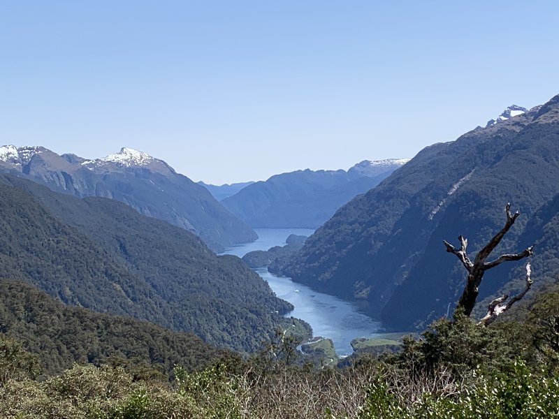 Nueva Zelanda: La primavera Kiwi nos fue marcando la ruta - Blogs de Nueva Zelanda - Queenstown-Manapouri (Doubtful Sound)-TeAnau (1)