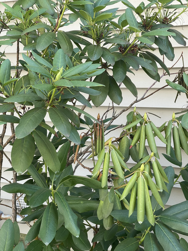 2A873912-7154-4B3F-9EB6-2B8325DED460