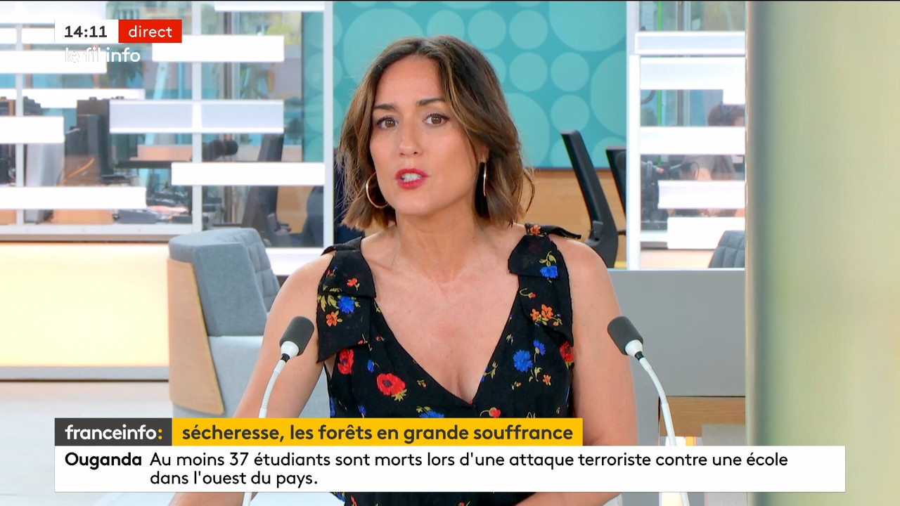 Le fil info 2023_06_17_12_59_00.ts_snapshot_00.15.26.934