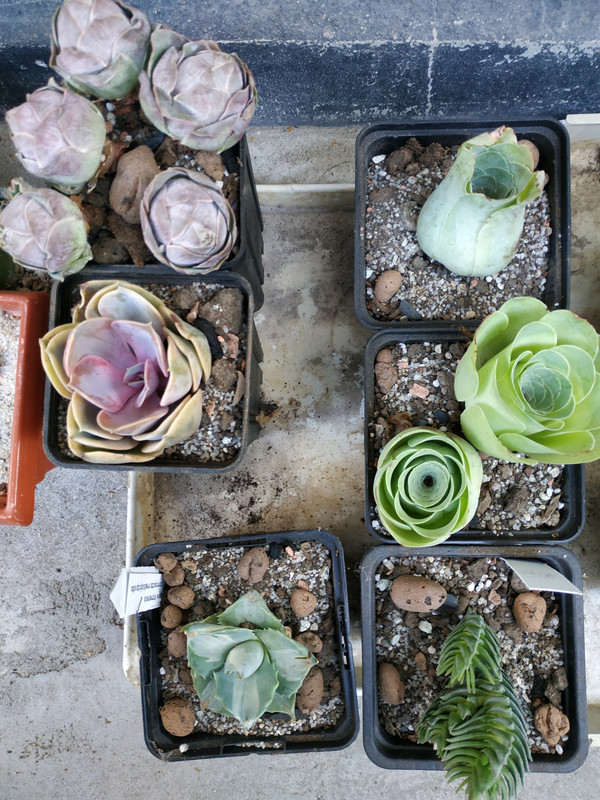 IMG_20201002_172529
