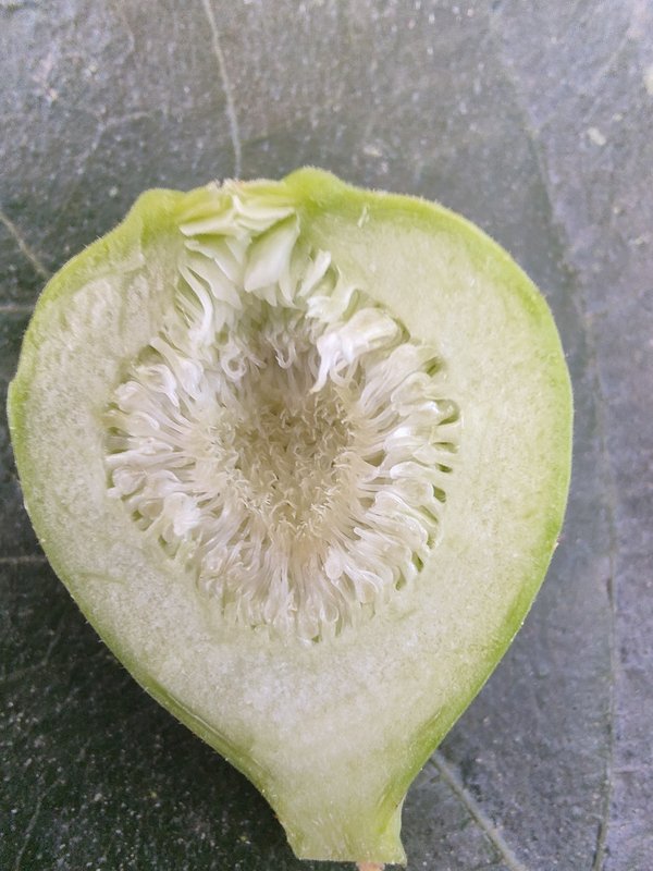 IMG_20230709_081947570