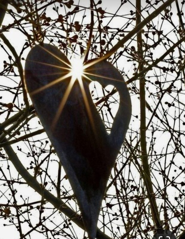 Screenshot_20240214_174433_Pinterest