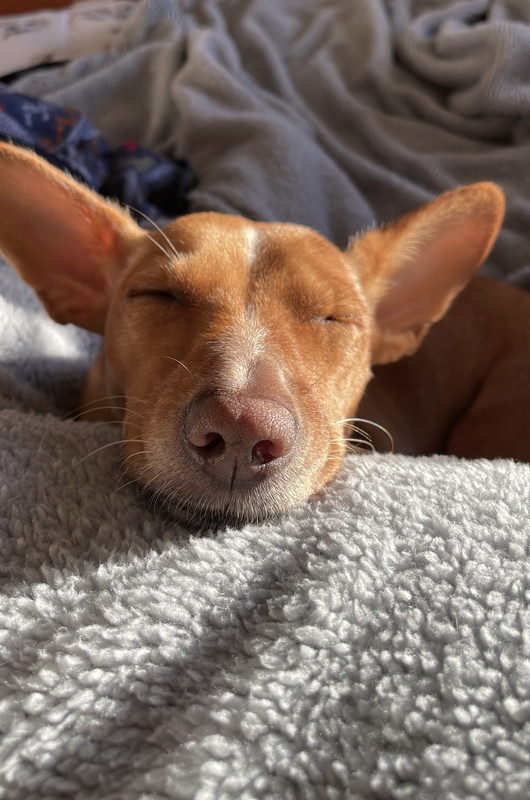 3402DA81-79FF-4D6A-A386-924CEF5CCFFE