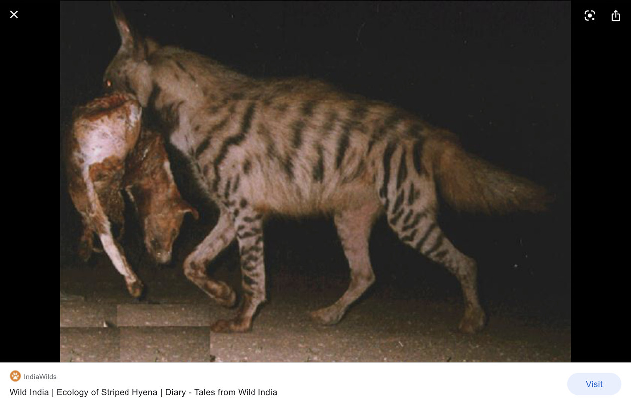 649BD3AD-A0B0-4297-9CB0-97EAF85B9CCE