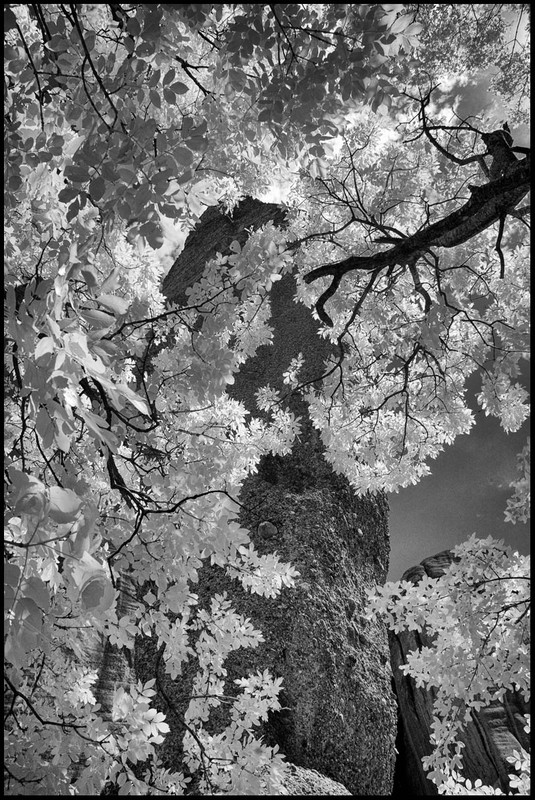 _DSC5074_00001_final_silver_efex_24_small