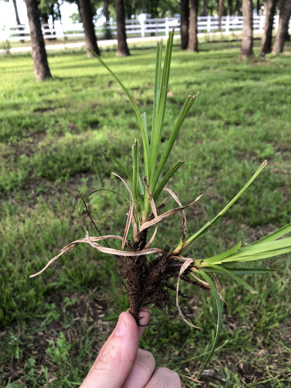 E89F8510-3B66-4637-8AFA-2297AE376684