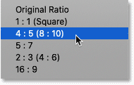 preset-aspect-ratios