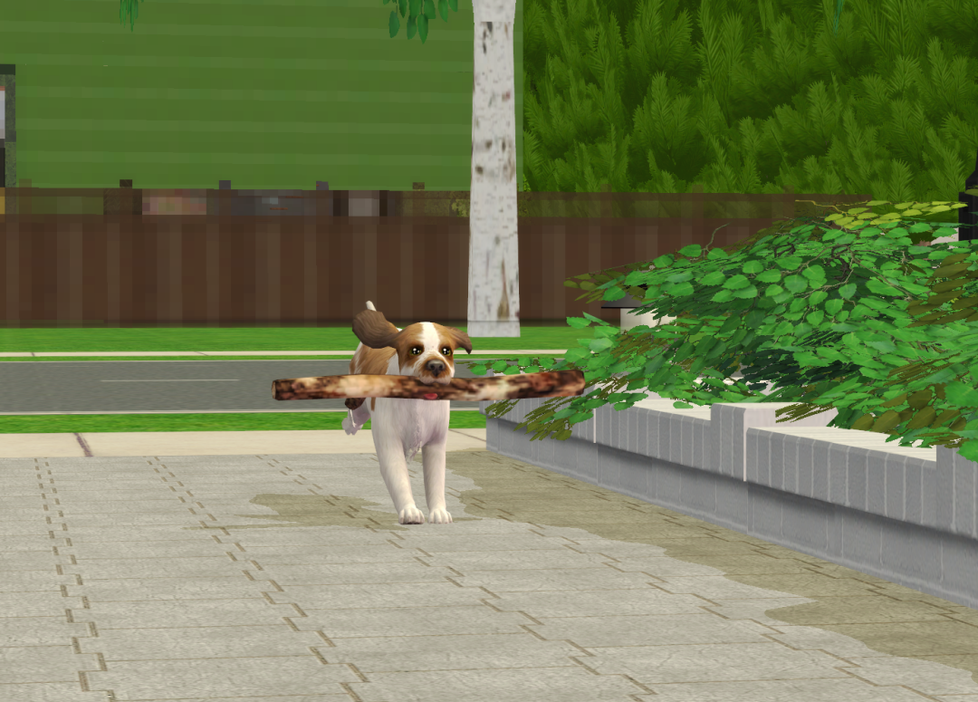 Sims2-EP9-RPC-2023-10-01-19-39-12-17