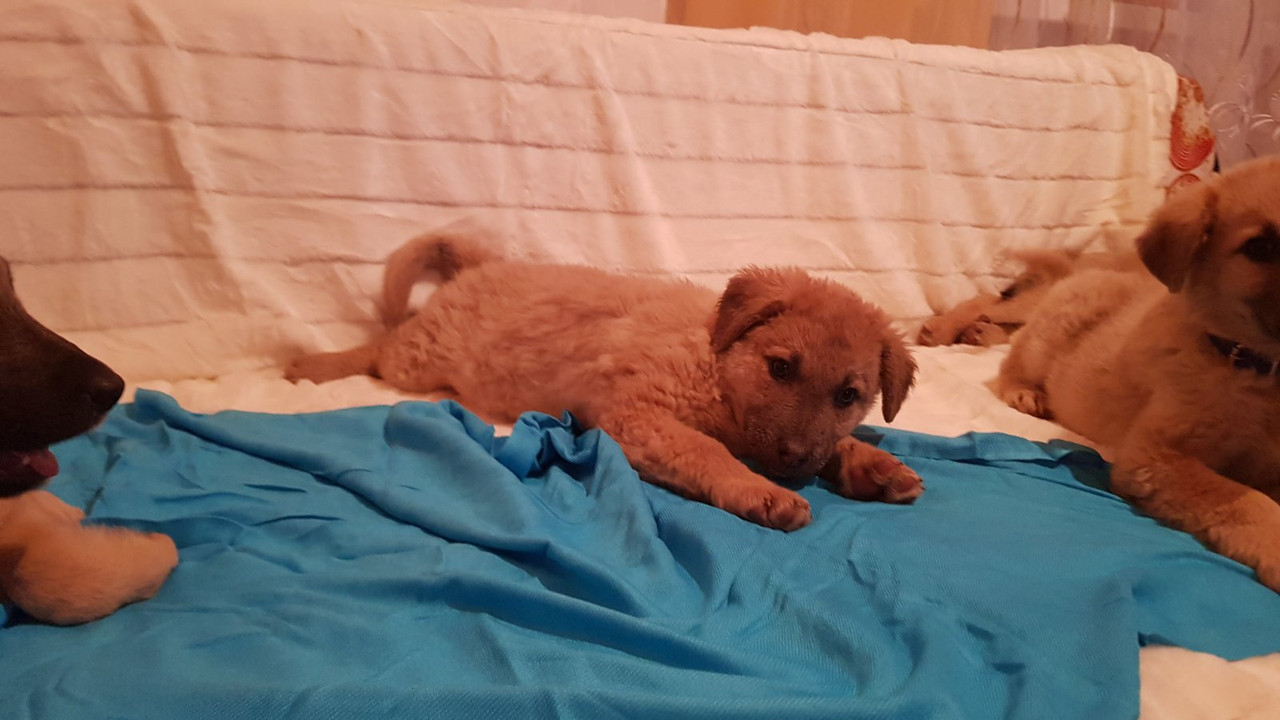 IMG-ea79a89c29ed1024ec8d8e796a76f7a1-V