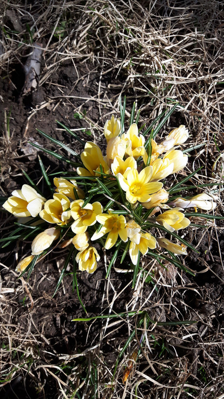 20190308_125555