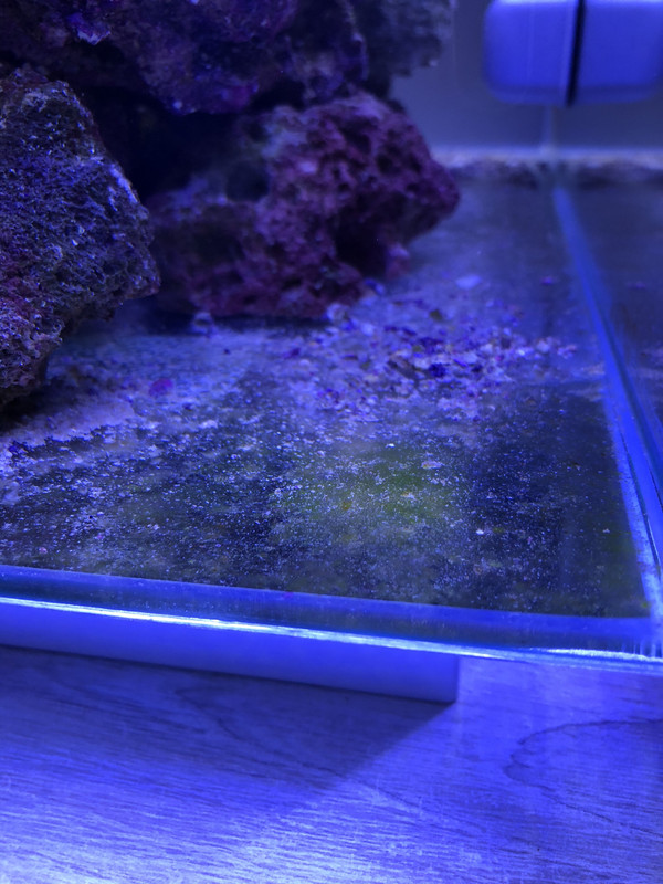 007D3C06-633E-48A0-A688-7BF40B842B4D