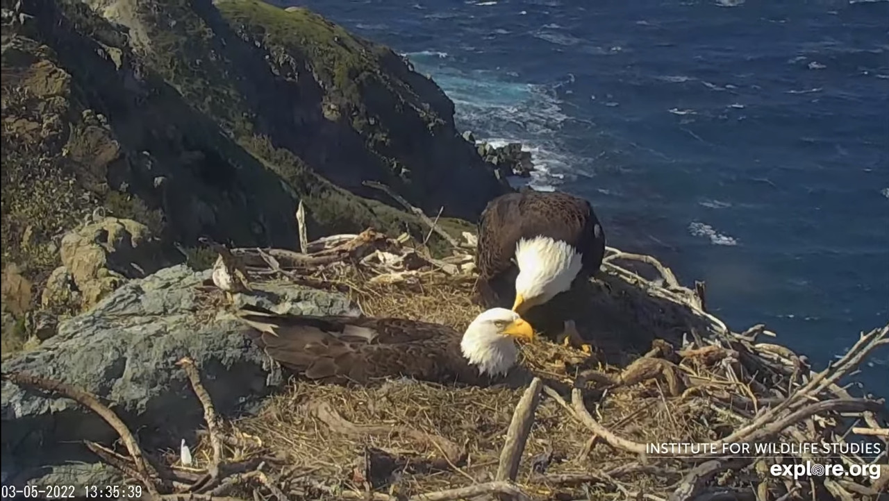 F99E7615-701A-4821-AD3C-3685DEB236B6