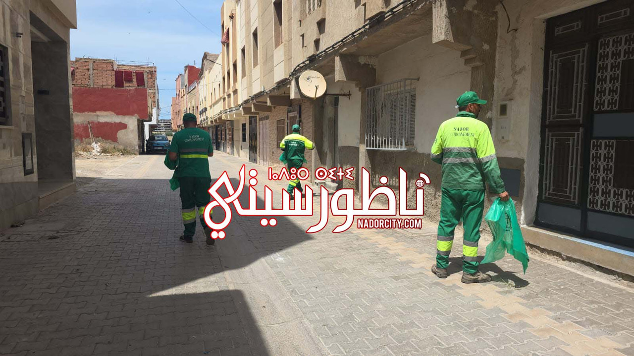 Whats-App-Image-2026-05-25-at-15-18-45