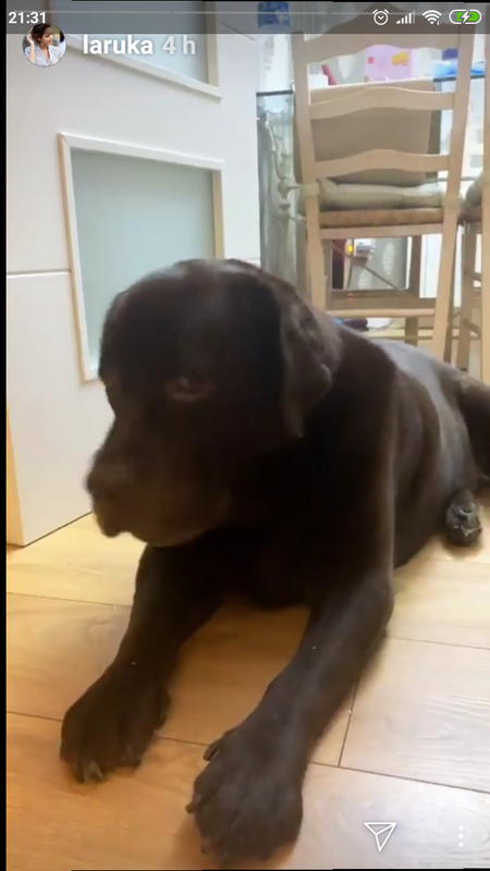 Screenshot_2018-12-23-21-31-40-336_com.instagram.android