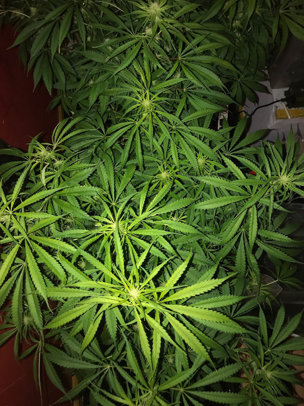 C4416221-FD29-463E-B7DB-A17847E6BC6C