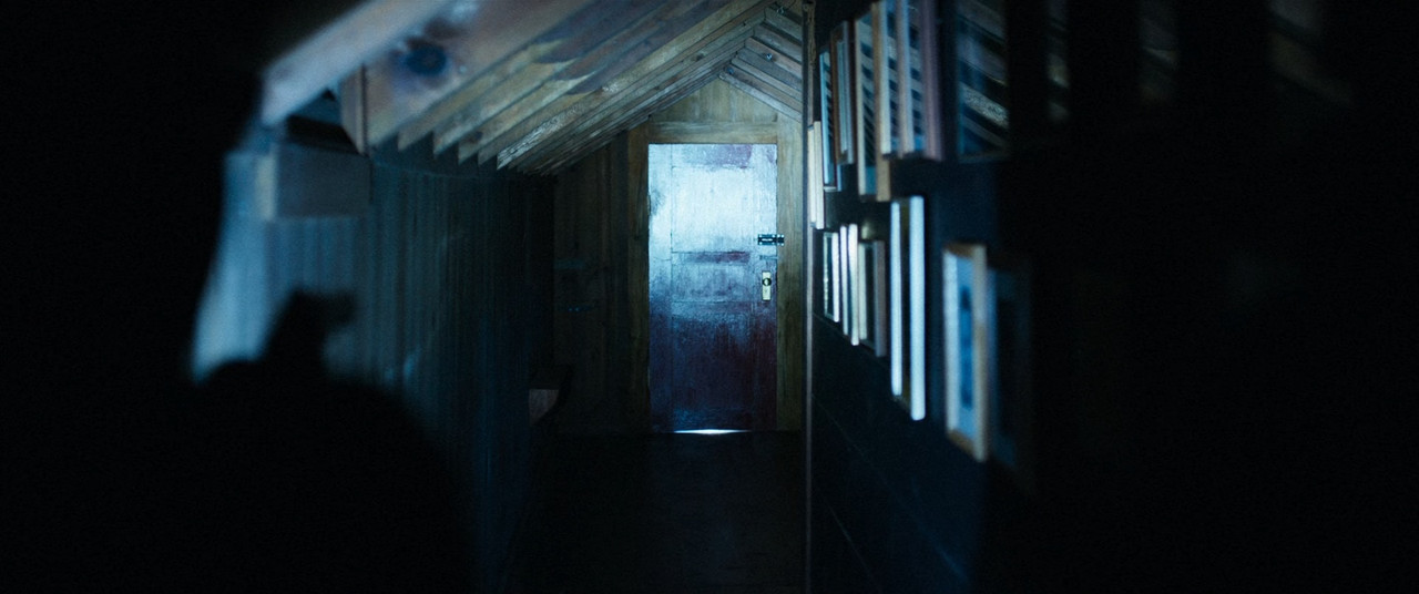 It Comes at Night 2017 (1080p x265 10bit Tigole)