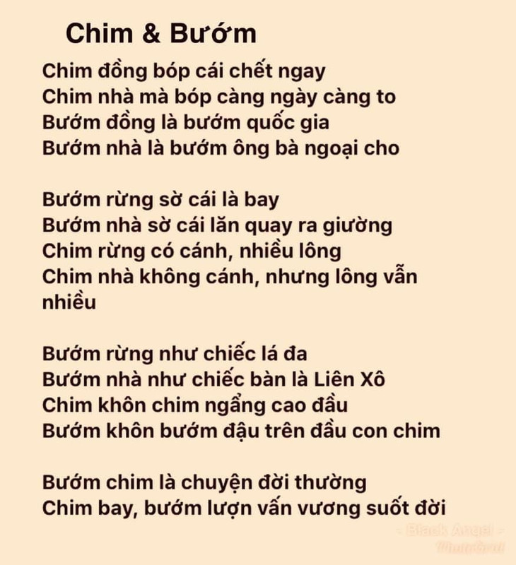 Chim bướm  99-E1-F53-D-9-D41-4-D3-A-9-E21-EE441-CA0-A52-F