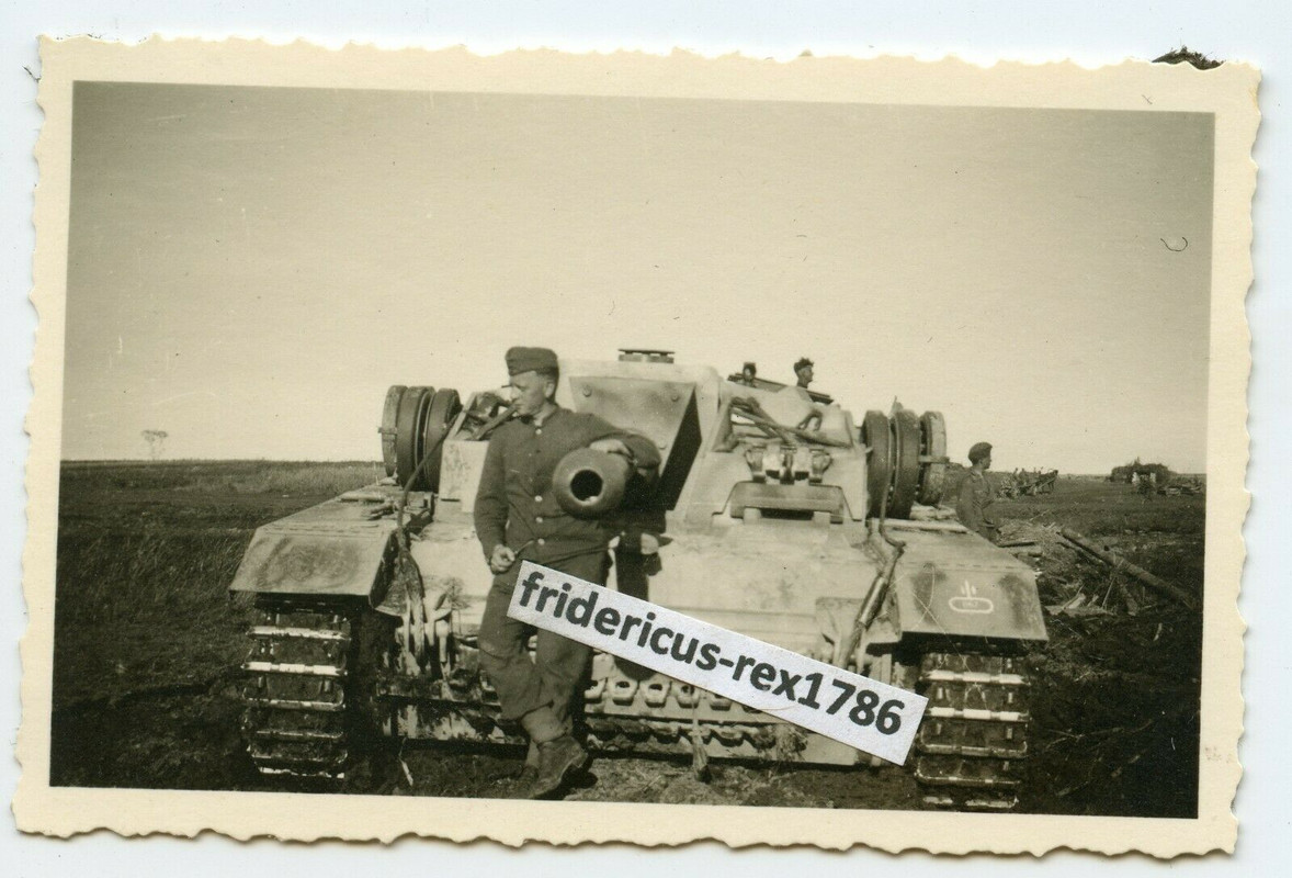 Foto StuG Sturmgeschütz Brigade 667 an der Front mit Wappen Kennung