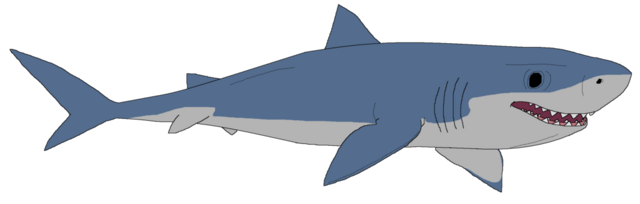 Sharks