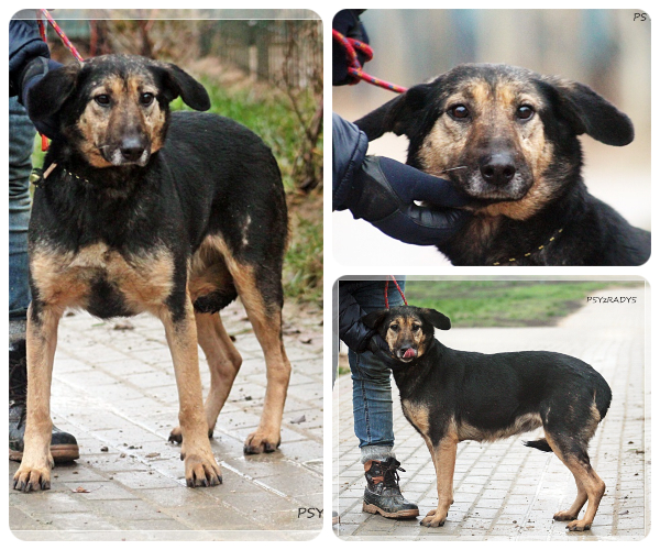 BeFunky-collage (16)