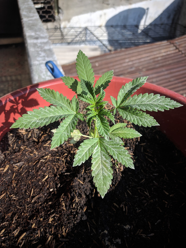 HC_20230127_161521_null