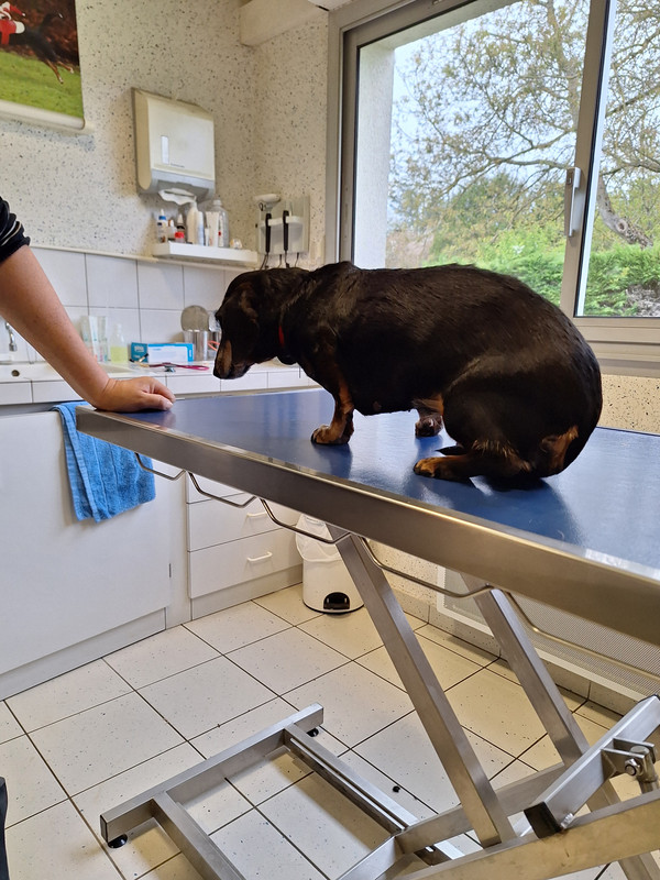 [Image: 20240419-173456.jpg]