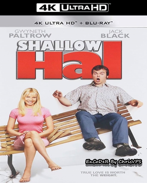Płytki facet / Shallow Hal (2001) MULTI.HDR.2160p.BDRemux.DTS.HD.MA.AC3-ChrisVPS / LEKTOR i NAPISY