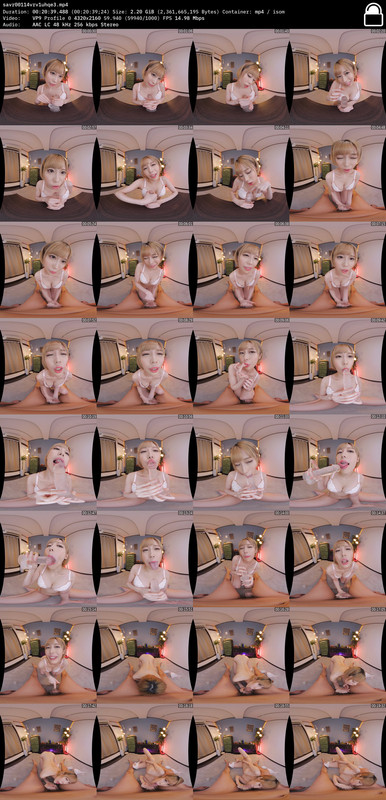 savr00114vrv1uhqe3.mp4.contact_sheet