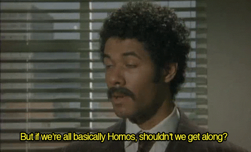 tumblr-mir3ruearx1qgavwyo1-500.gif
