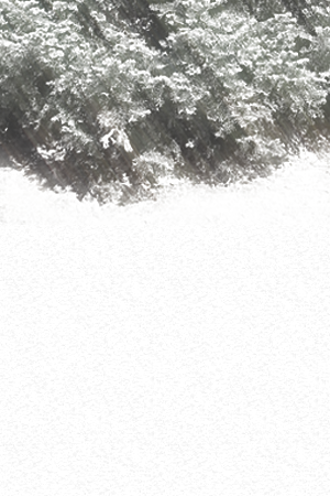 World In White - Jude_Rigby - Castle (TV 2009) [Archive of Our Own]