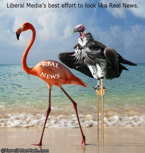 214090-5.png